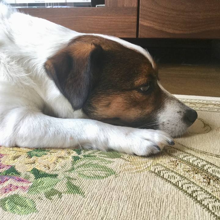 5f9909d6 324c 454d a7cb 7e5b1eb66c9f 1528848732147