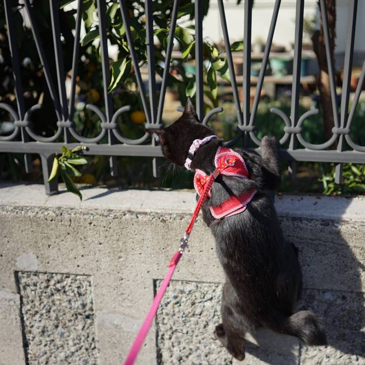 5f993518 318e 4a53 a057 3f3d683ef586 1515324954248