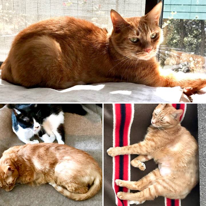 5f99444f d43c 4f6f ac01 ba532ac74f7b 1554291661966