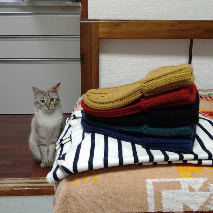 5f995d2e 6de4 4d29 81da e9d5a19162e8 1665486933092