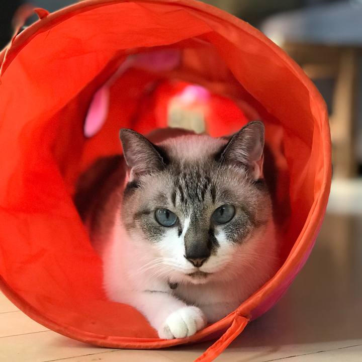 5f9977e4 3a37 4d16 8640 682fbc2d50ac 1507776479344