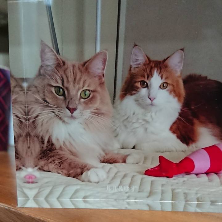 5f998321 bb9a 4eb5 9a07 350c59d67994 1587625488247