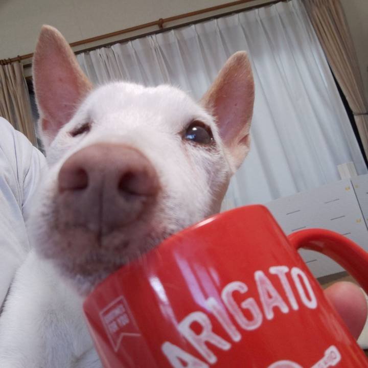 5f998527 c00a 41ac 9189 5cdcda642816 1570149868033