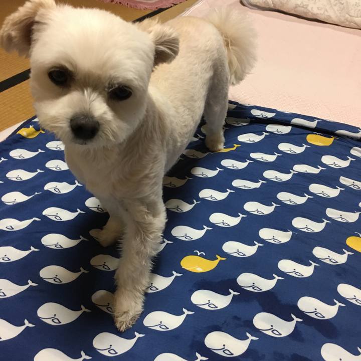 5f99d3c8 8ca0 4f59 bec9 cc0ef6f91230 1563876558817