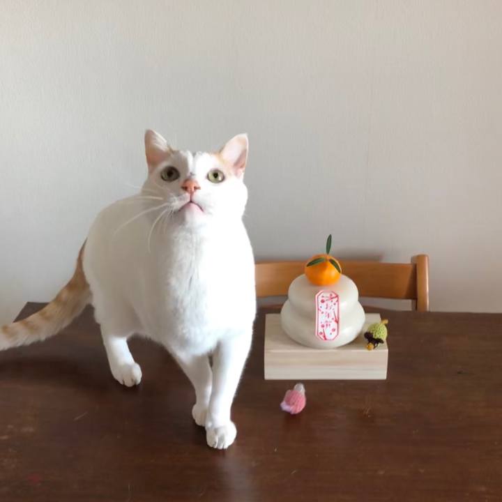 5f99e382 ec07 4a62 97ba 072d0ca102d9 1578095325809