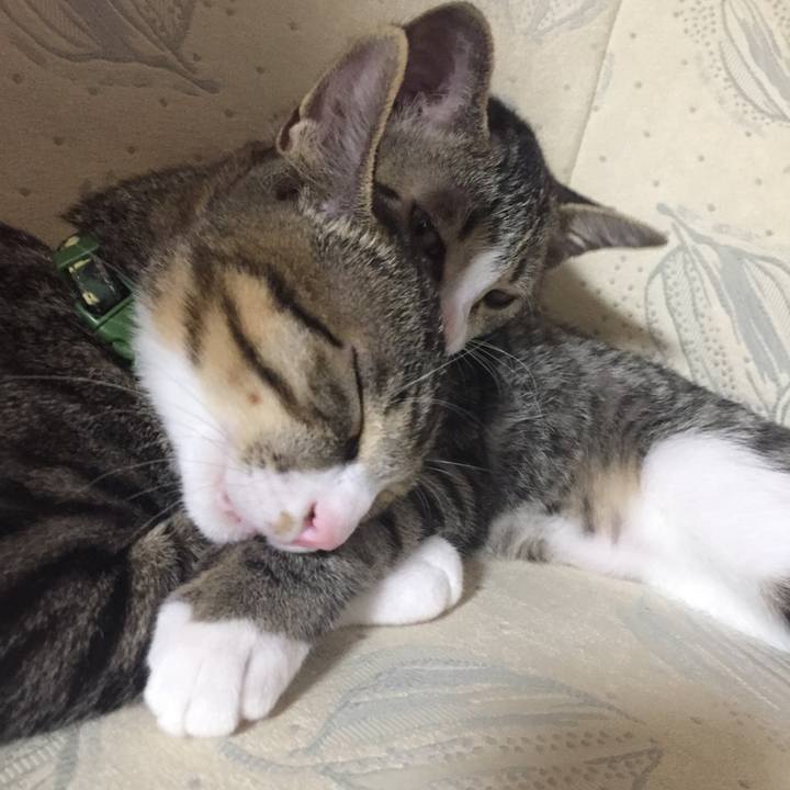 5f9a1900 ee5c 44c3 a579 6d6e1ac93af7 1661484603972