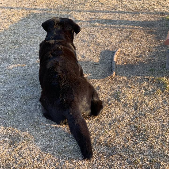 5f9a243e 602f 472e b611 0e18611f59e9 1551487143249