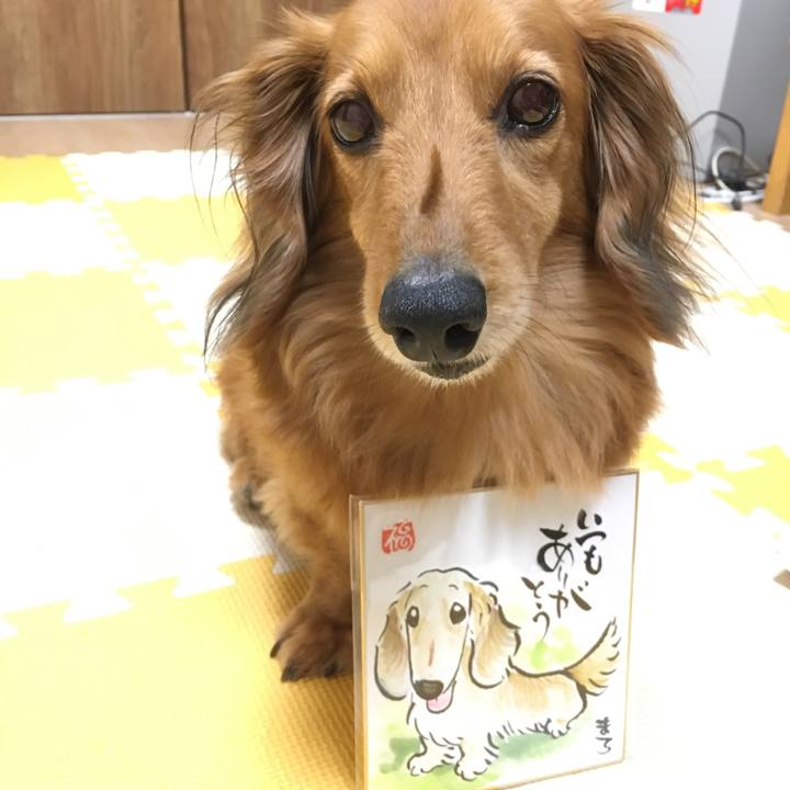 5f9a2a2c d667 468c 8149 e85ddca3db59 1526983179912