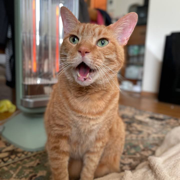 5f9a31f3 e1b4 4f6a bd2b aa4785fc3a8b 1766650855336