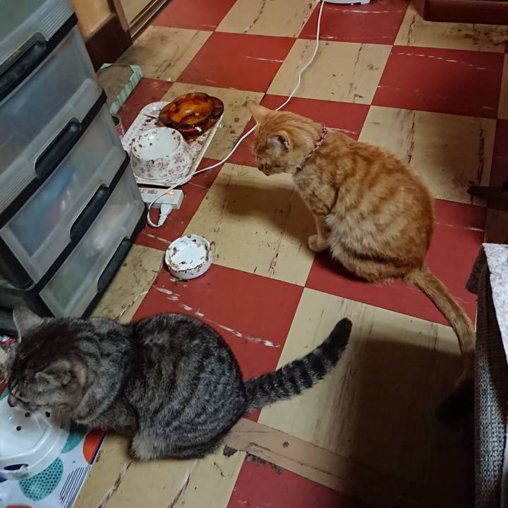 5f9a746e 82ea 4ddc b6b9 45d51770f2ef 1560802507047