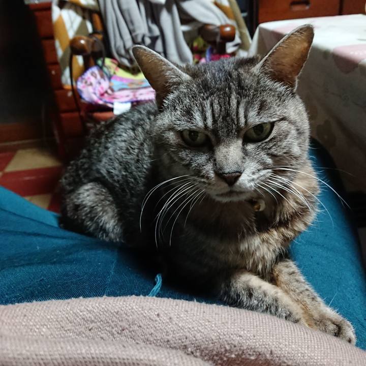 5f9a7c00 492a 475d ae6e ab389ed822c9 1553336176781