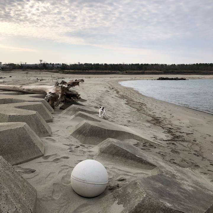 5f9aa465 1c22 4b3a b689 3c5e2b4bf838 1585955876128