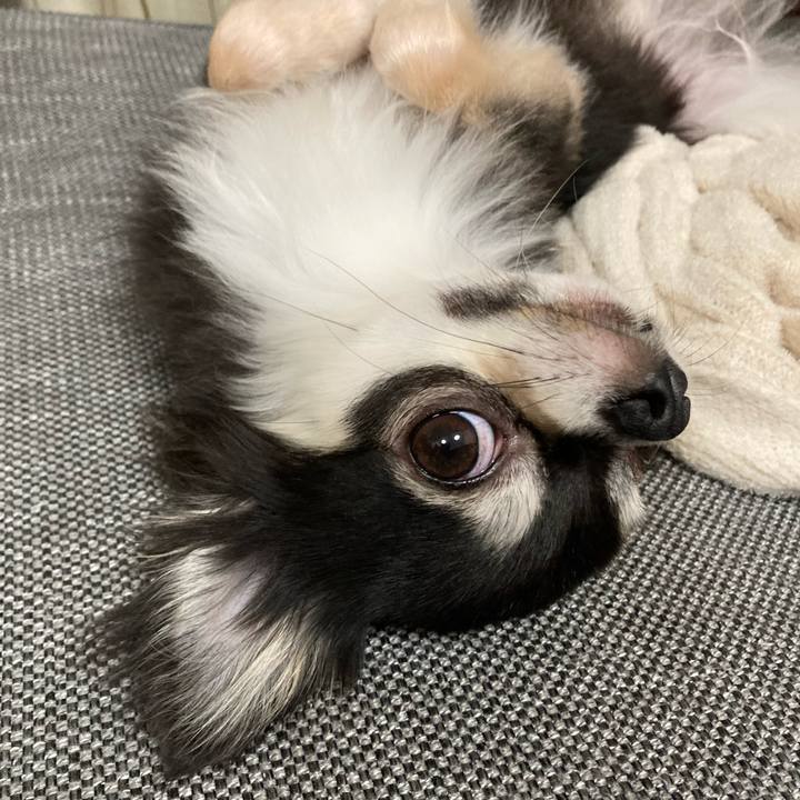 5f9ab1cb ddb9 4ffa 90e0 c0c66b52bf07 1633265476206