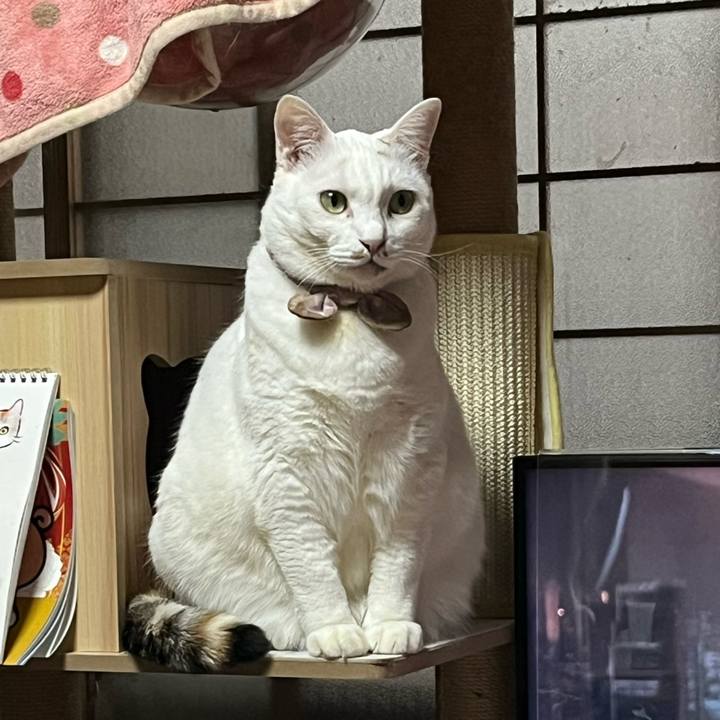 5f9aedc0 94d1 47af 941b 496b0750972a 1765601852753