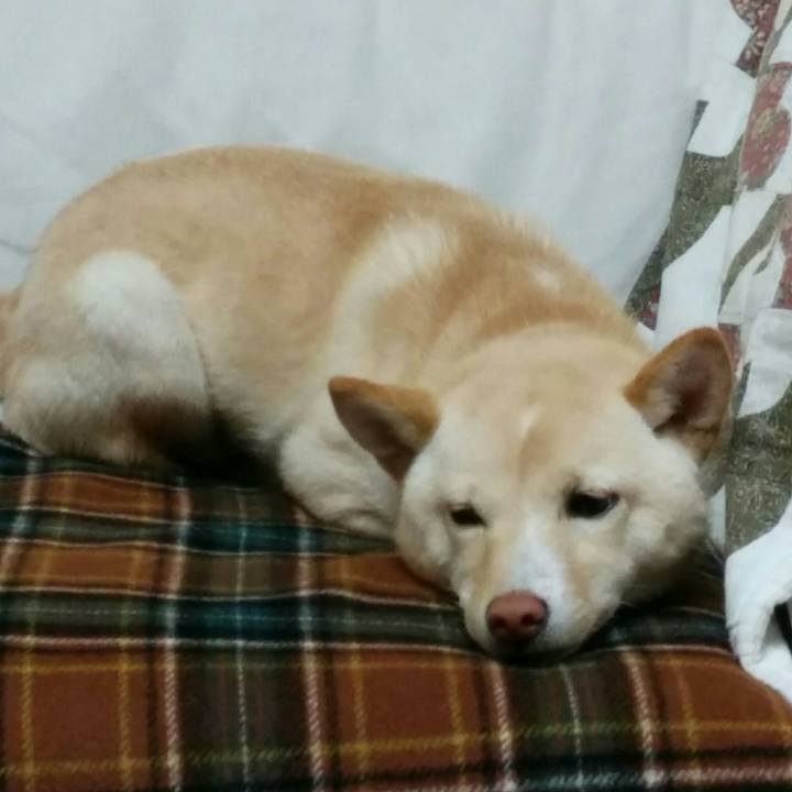 5f9b0b17 3126 408d 92cb 6bb5a27f7bbf 1513950739477