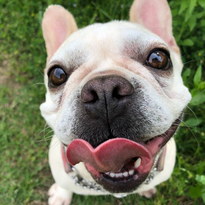 5f9bc833 2fa6 4564 9524 c4793b7cffb5 1527540258778