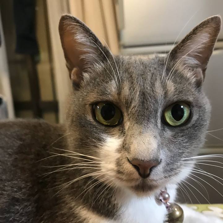 5f9bd816 4cc2 4fd0 924f de1c0712fbc2 1537196228015