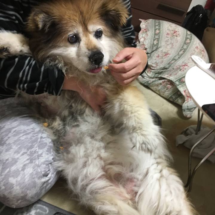 5f9bfec1 e024 4b70 bb06 2f4a999102b0 1576451775068