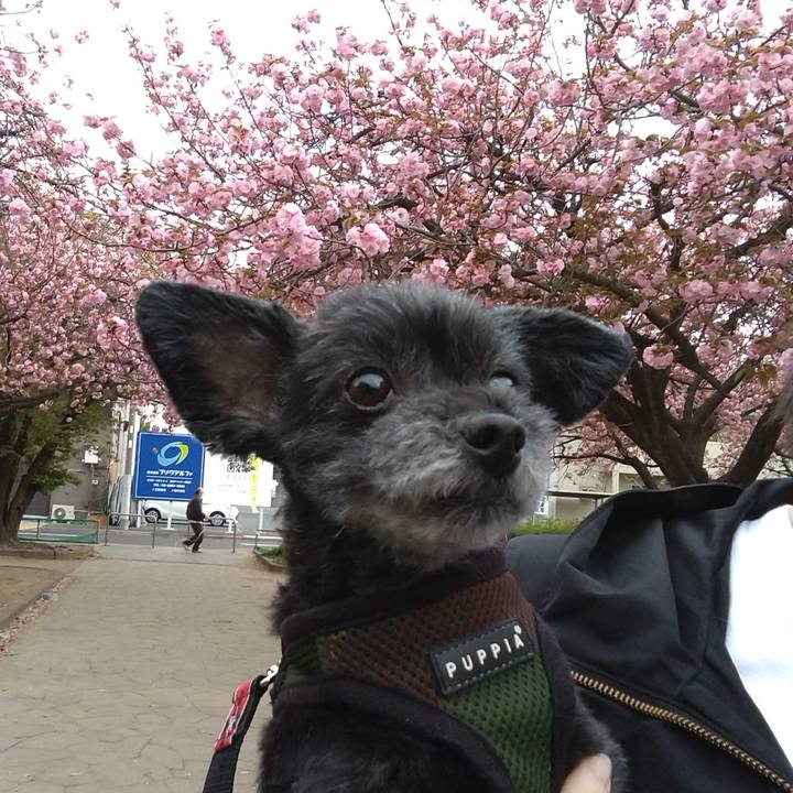 5f9c6c83 81f4 43db 898e f3c404ed5e80 1617438141728