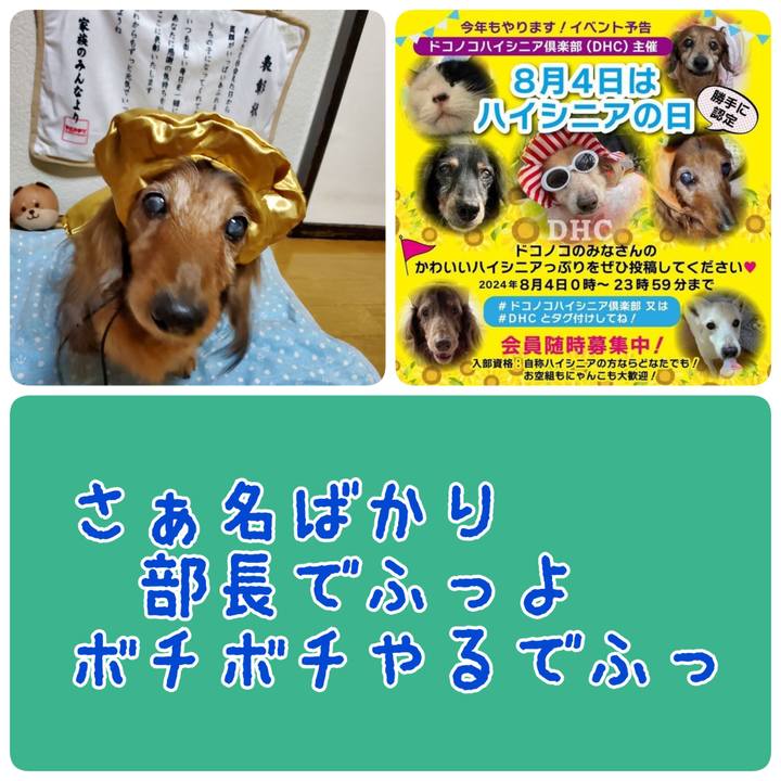 5f9c83e7 7230 49cb b1dd b370ce641bf4 1722216097920