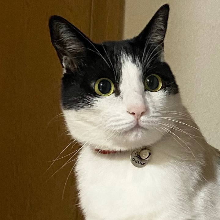 5f9cc539 bebe 4de9 9e02 68c89d56d68d 1602901708000