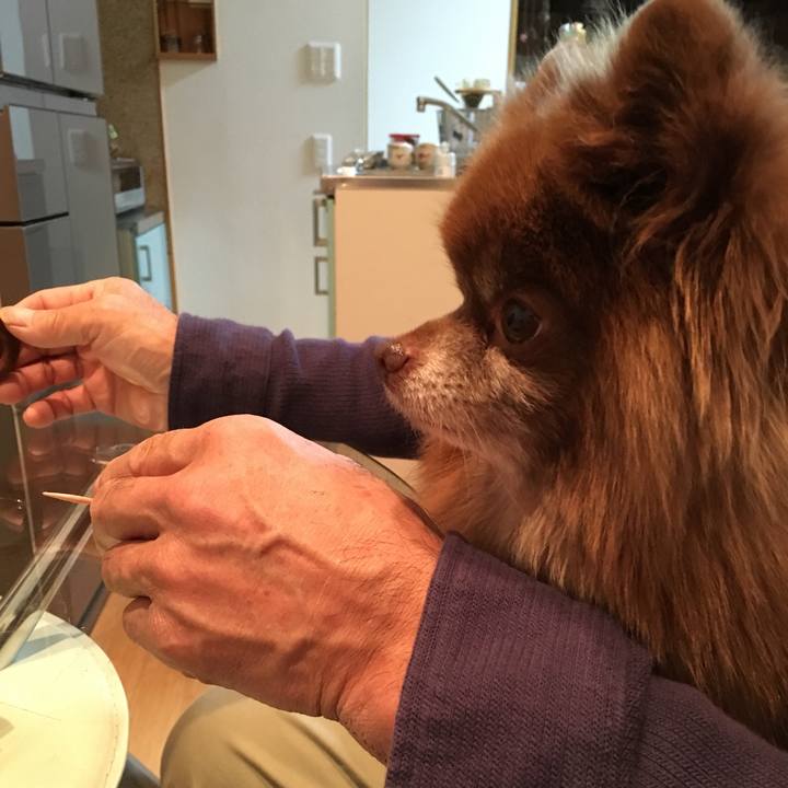 5f9cd53f 851d 45a9 b516 e8a710385ed5 1514777598587