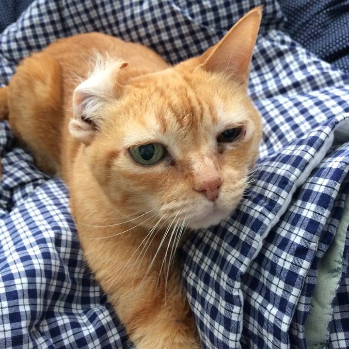 5f9cd56e 67c0 403e ba6b 31af2879b4bc 1512308116931