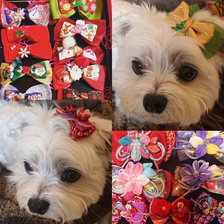 5f9ce6bb c605 4336 823a 1435a3a9e635 1606483966268