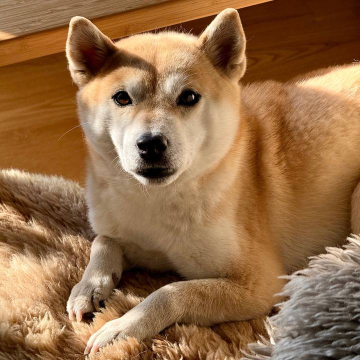 5f9d0c52 13d6 4222 b009 d9aced68f3cd 1771401696050