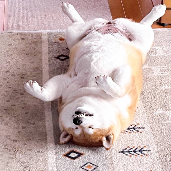 5f9d1eb3 23d9 42bb 987c 7400b6c3bb64 1687580767621