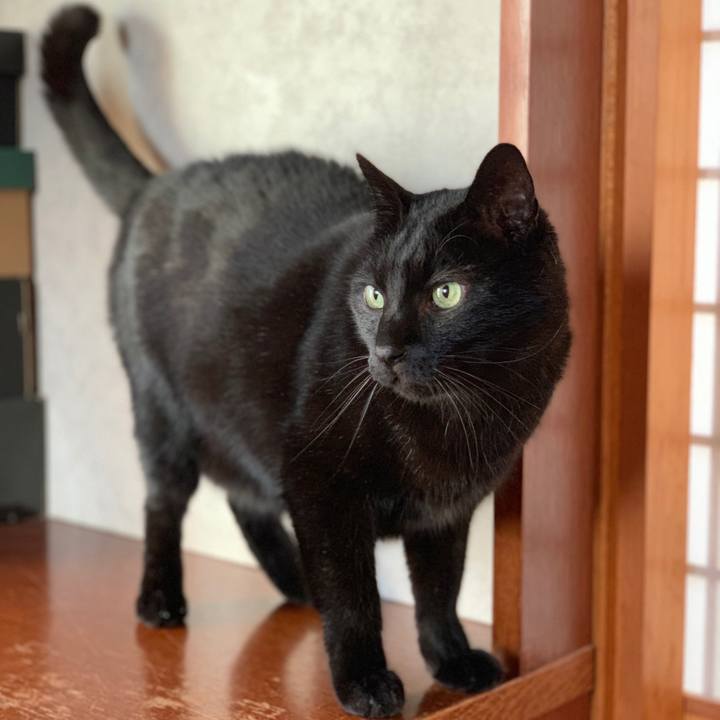 5f9d3942 006d 43e9 b45d c2256425966a 1549157643466