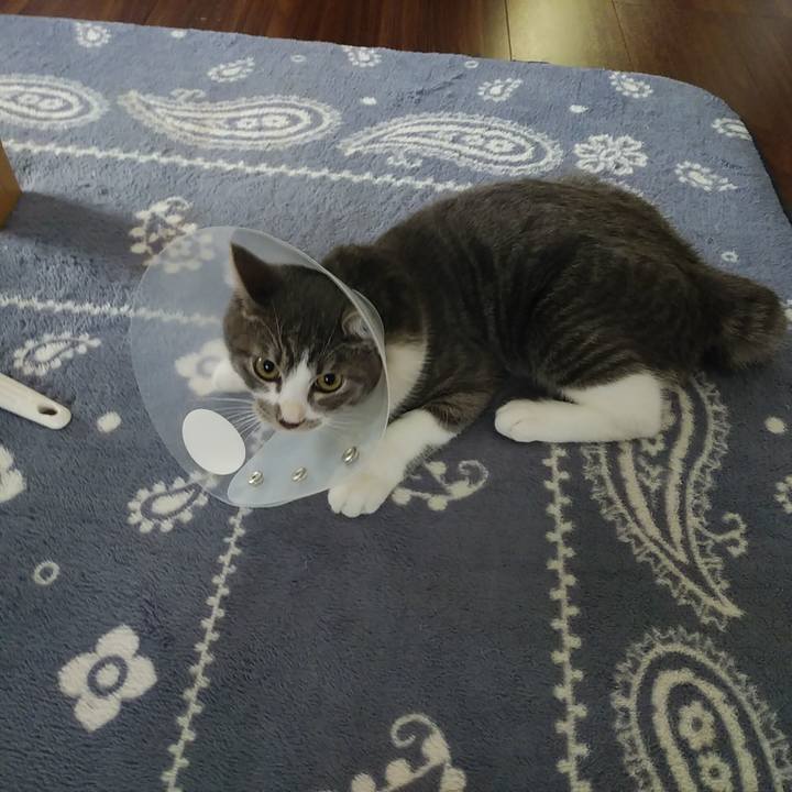 5f9d6789 4f11 44a6 b843 193be8f46509 1571185172474