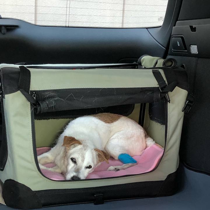 5f9d78cb db3c 4220 ae84 753651efd834 1632725670911