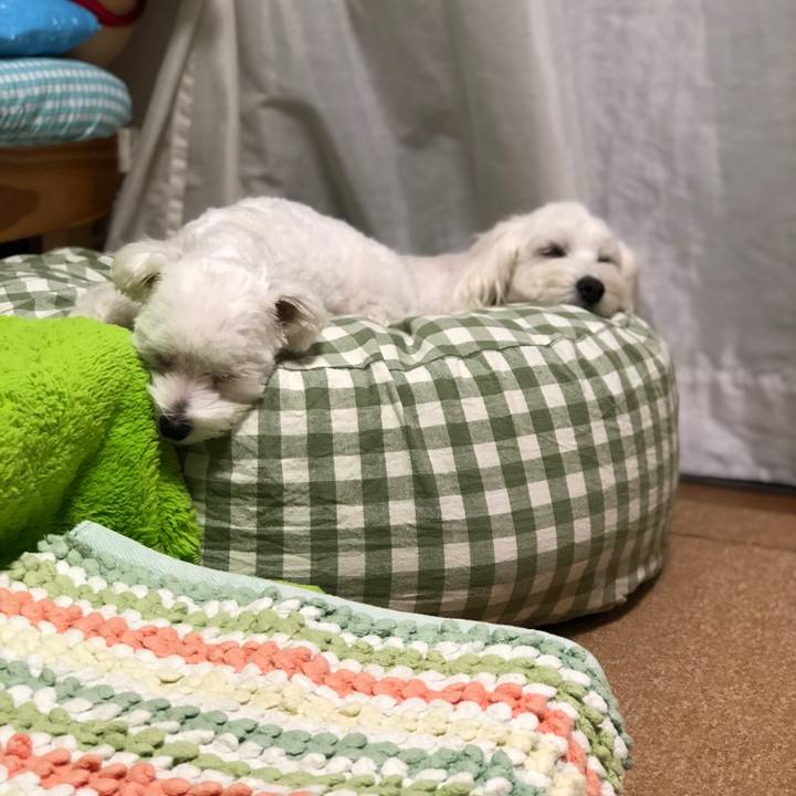 5f9d797f 7c75 400e a299 ccefb74738f7 1530662774758