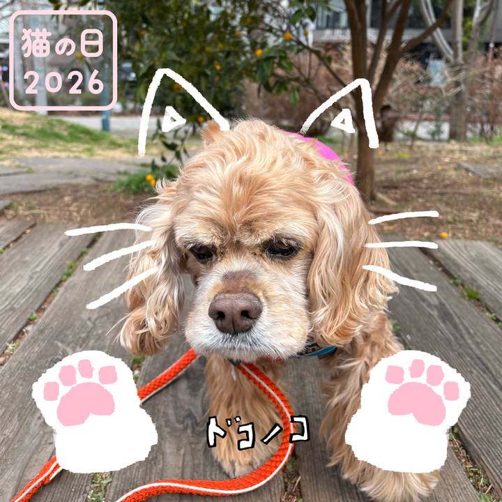 5f9d9ec8 0c63 443c a3f7 777615faf8f1 1771811840213