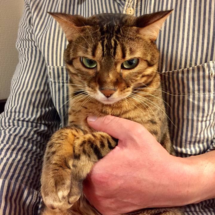 5f9de683 c8ff 4868 8d1c 5ff79c5a843b 1541822387604