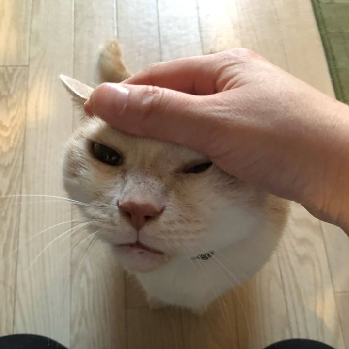 5f9e580e dea2 48a7 8922 c652c0f20f5a 1610490673303