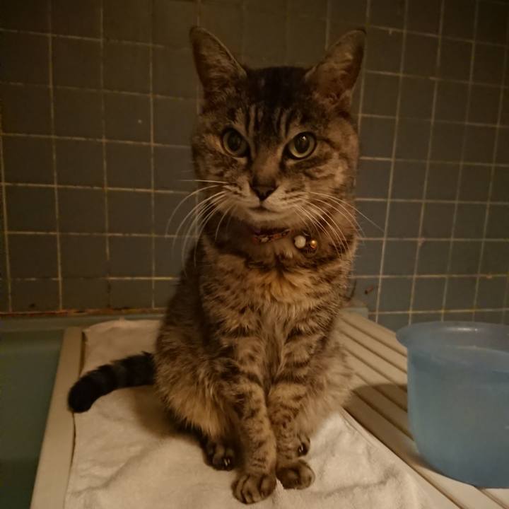 5f9e610c 320d 491a 981c 64a40aa0142e 1584092076453