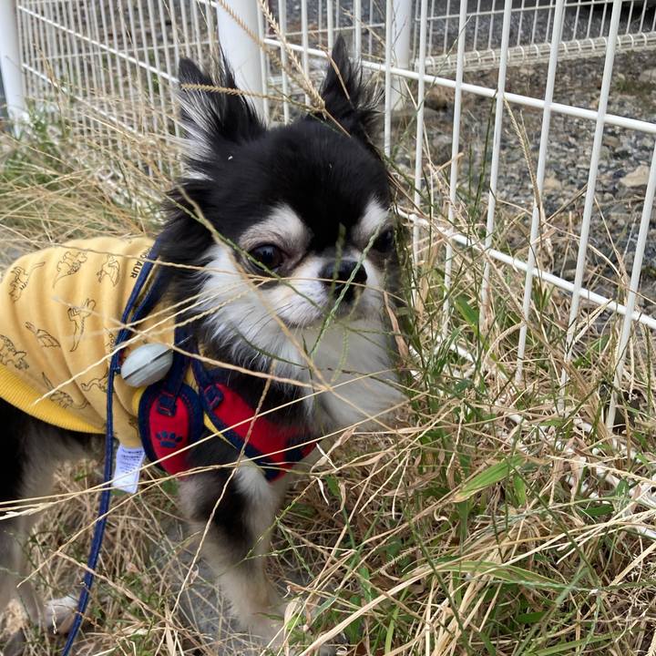 5f9e7d0c a311 4326 88fa 4b0f4ed615e9 1699679734624