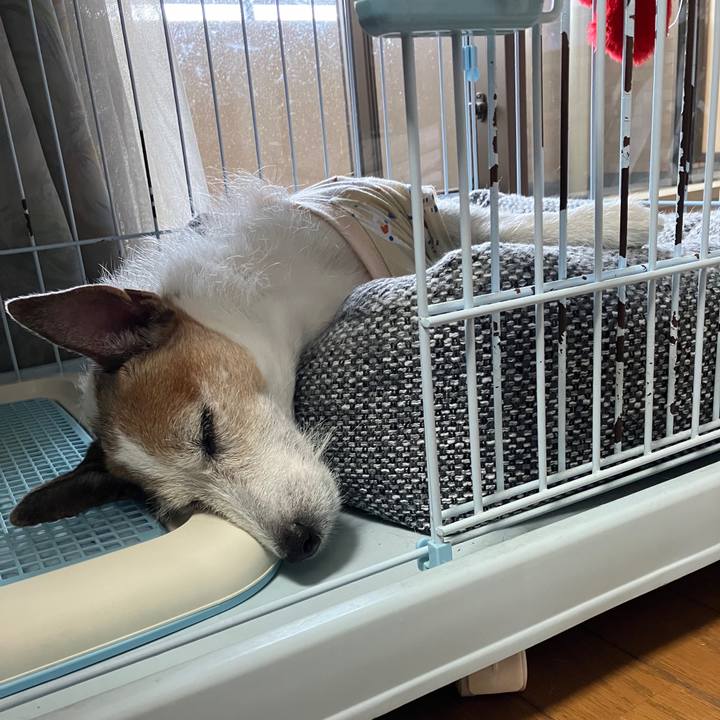 5f9e9c6a 7cf5 4b52 be21 3b1e55ce9408 1728256569648