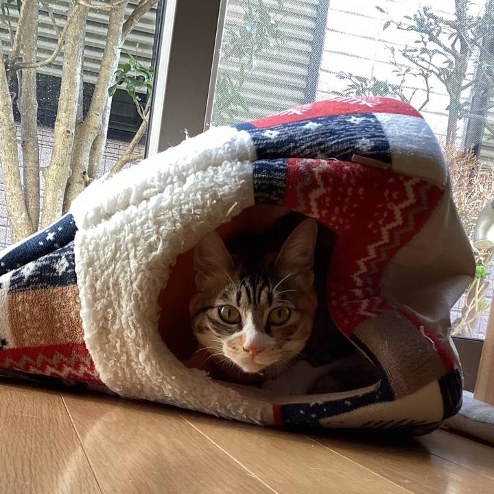 5f9ed7a7 6324 4e5a 9909 392f0003b9fa 1678852111917