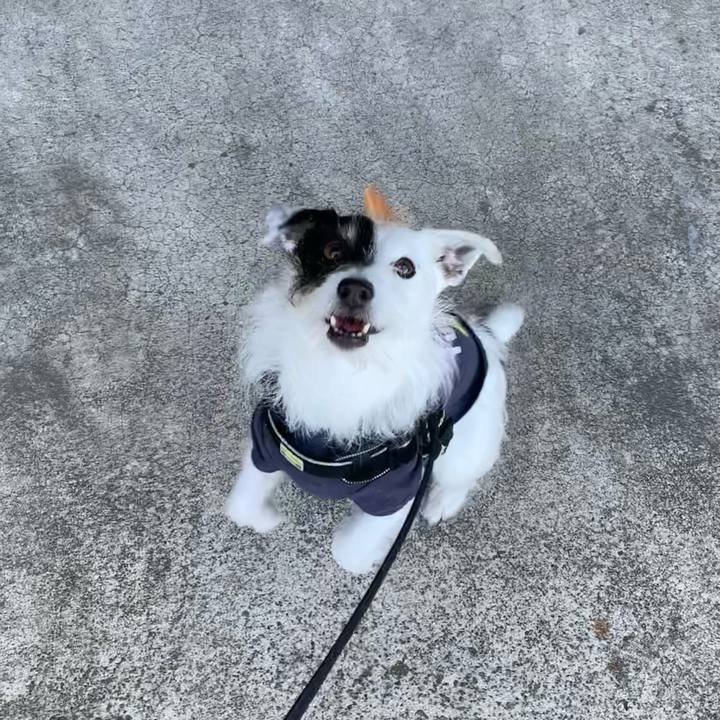 5f9ef1c1 9414 41bc 9027 4d393b96f301 1681257780295