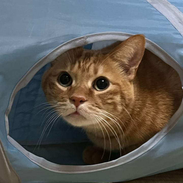 5f9f107c 36ea 4e2b 8696 378ef5adfceb 1768046810112