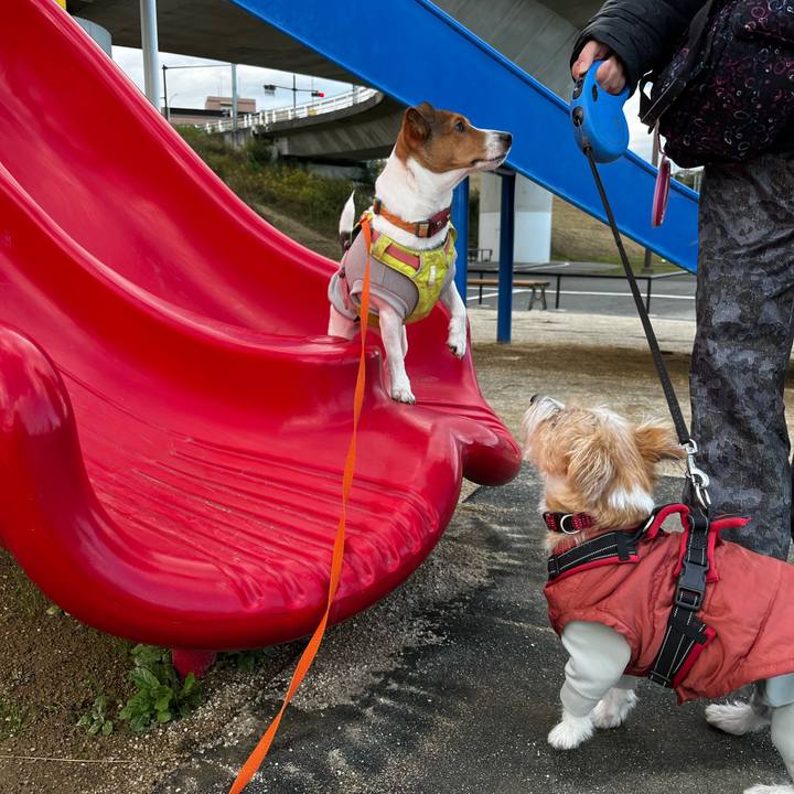 5f9f47ee e74a 46ad 93be 5807522a0528 1732334615605