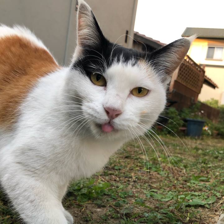 5f9f723b 382f 455a 86eb 5ad578d8a427 1605133321684