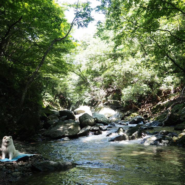 5f9fbee8 39ed 4d5b 9dd4 db0f77cb501b 1531570619087