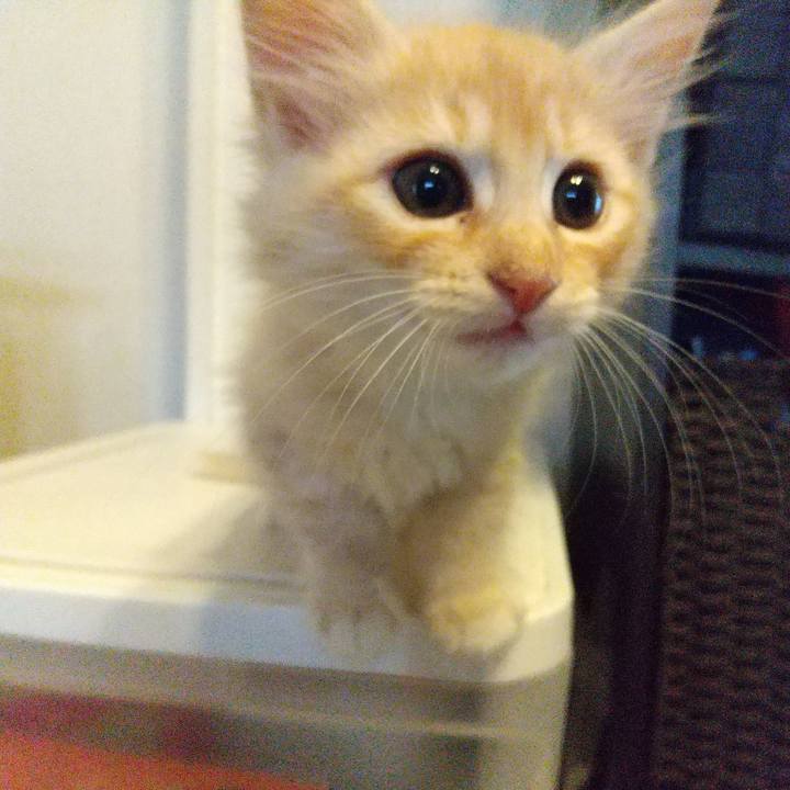 5f9fe090 6a4e 47b3 b492 dabc3d3625c0 1686699586555