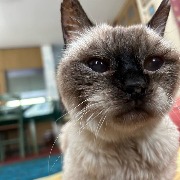 5f9fe899 76cb 4285 8fa2 7e64605a273a 1717547844277