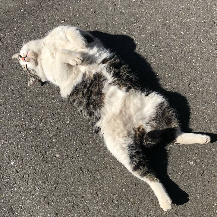 5fa02785 c6db 4f42 9f80 d0d6231482f2 1517915777431