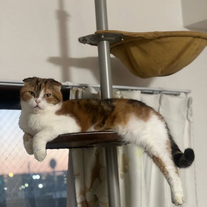 5fa05bbe e175 4491 b11d 906d3cfc92d8 1697444552502